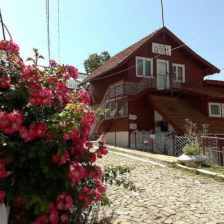 Pensiunea Floare De Colt Sinaia Buitenkant foto