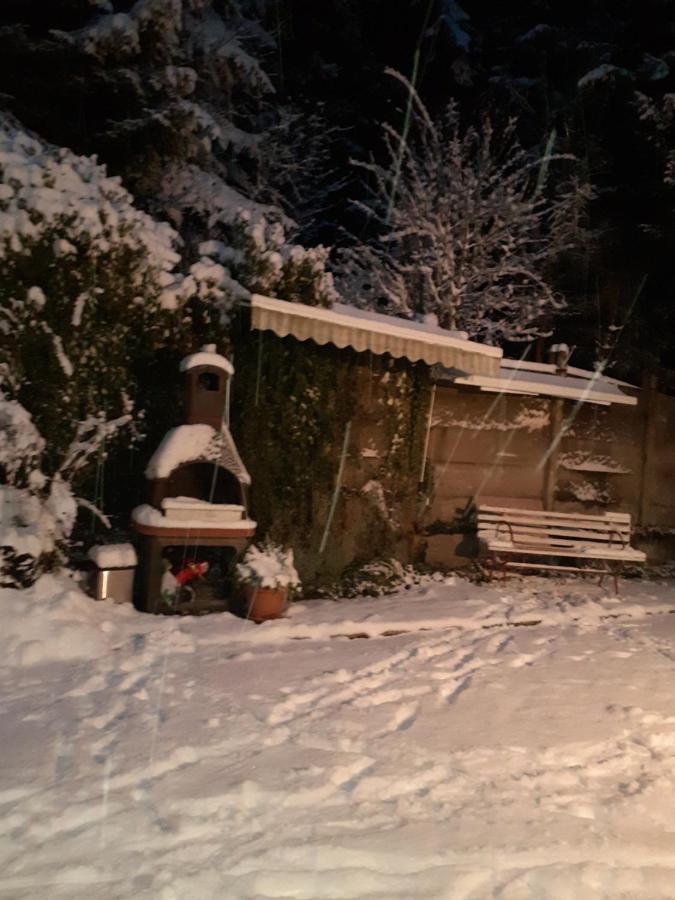 Pensiunea Floare De Colt Sinaia Buitenkant foto