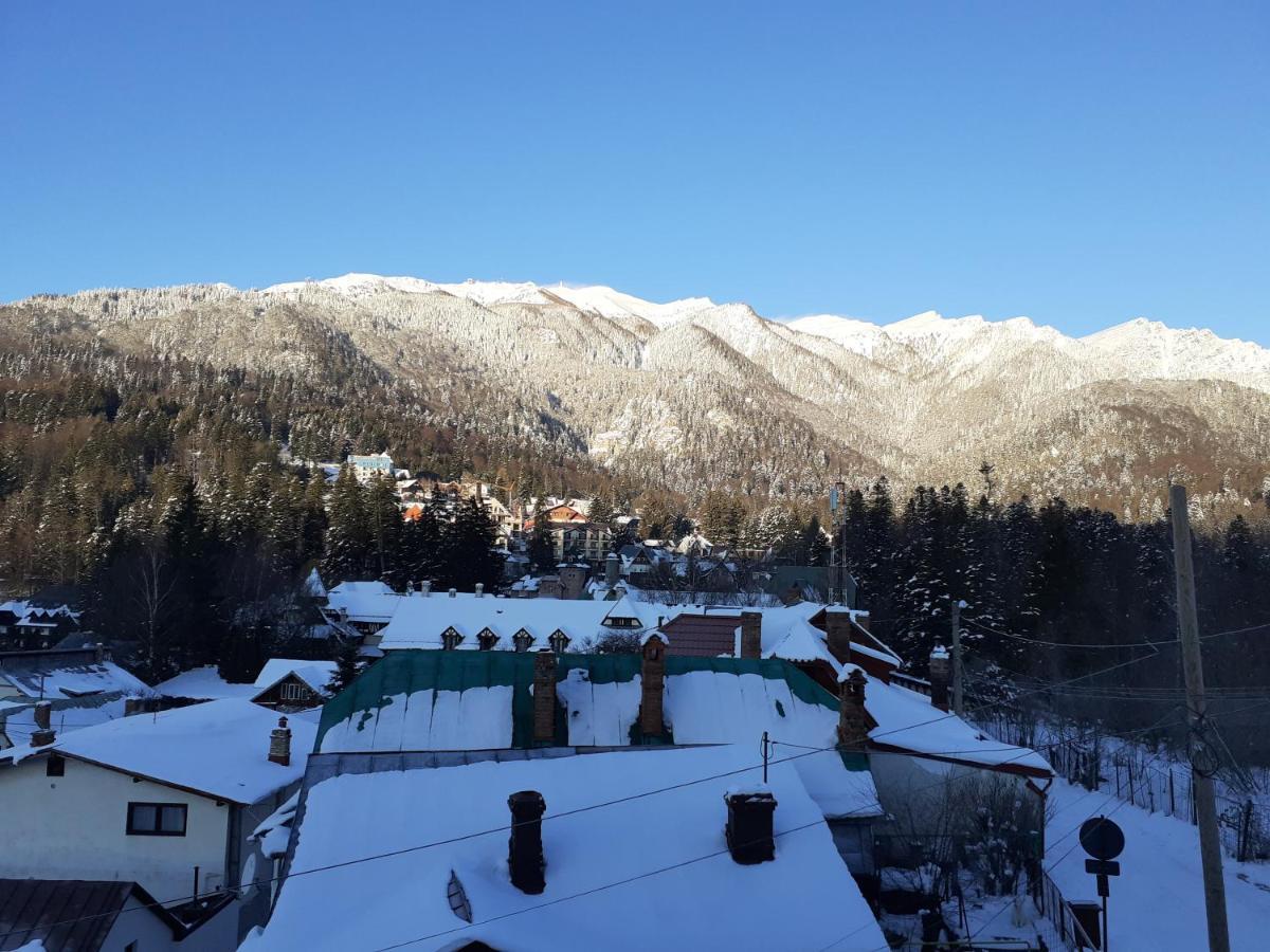 Pensiunea Floare De Colt Sinaia Buitenkant foto