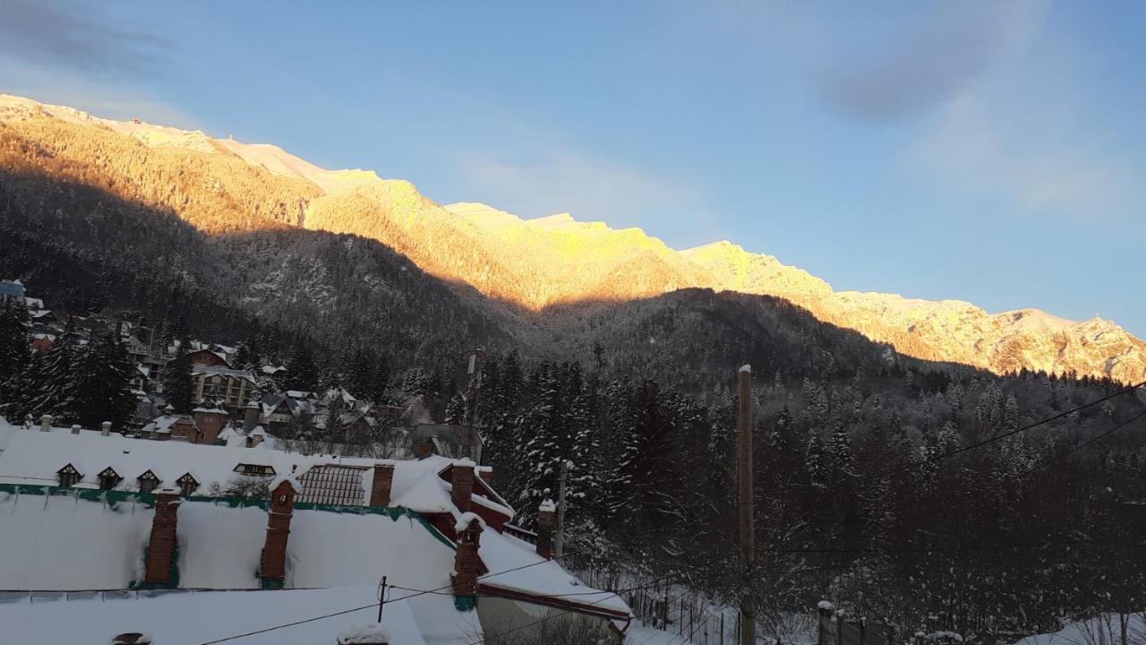 Pensiunea Floare De Colt Sinaia Buitenkant foto