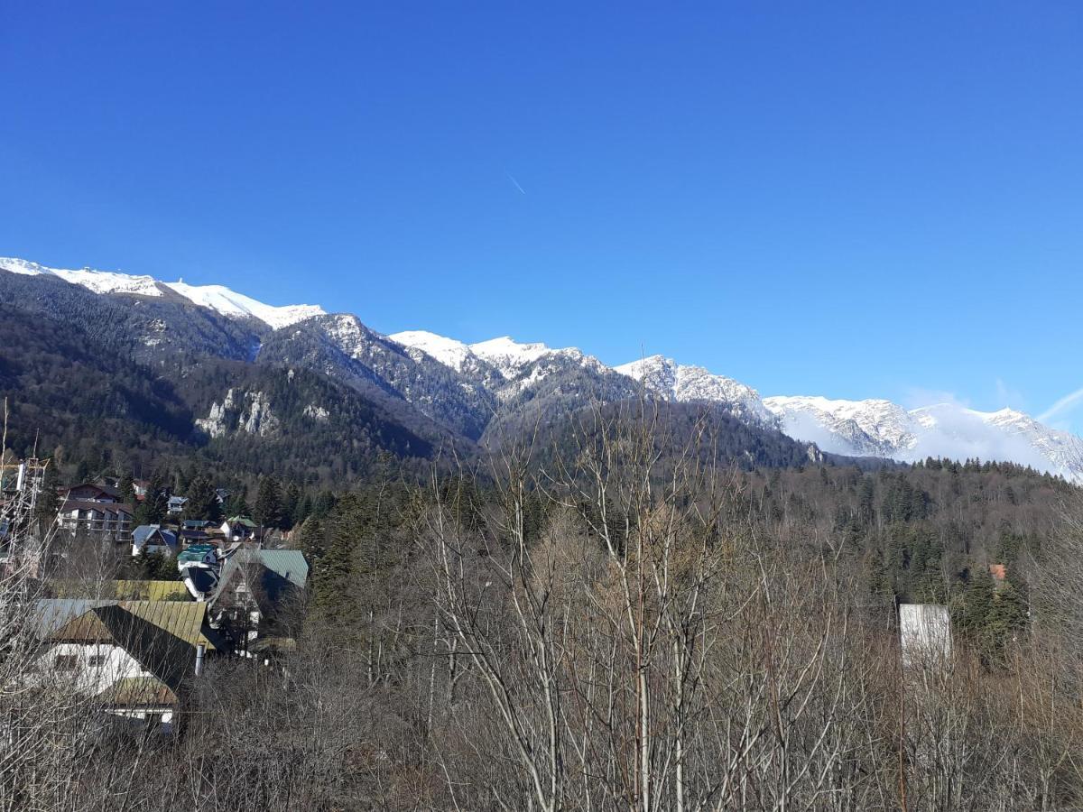 Pensiunea Floare De Colt Sinaia Buitenkant foto