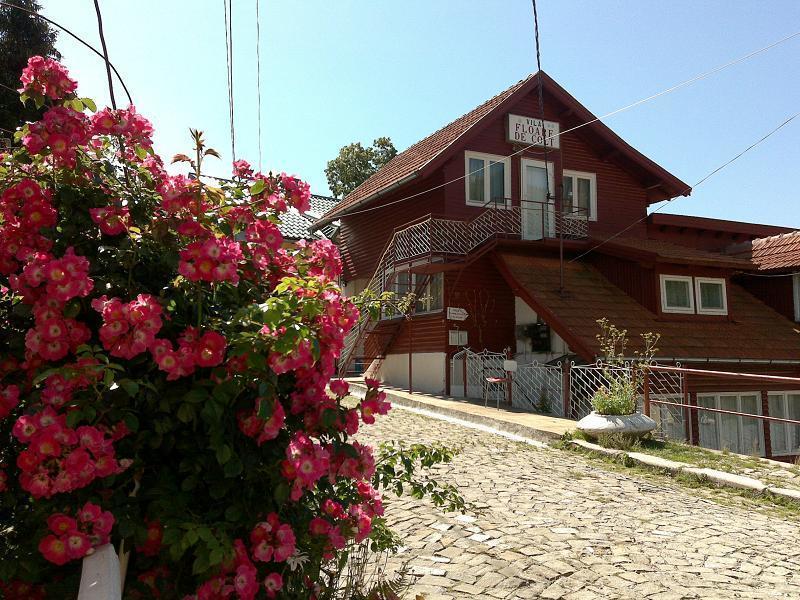 Pensiunea Floare De Colt Sinaia Buitenkant foto